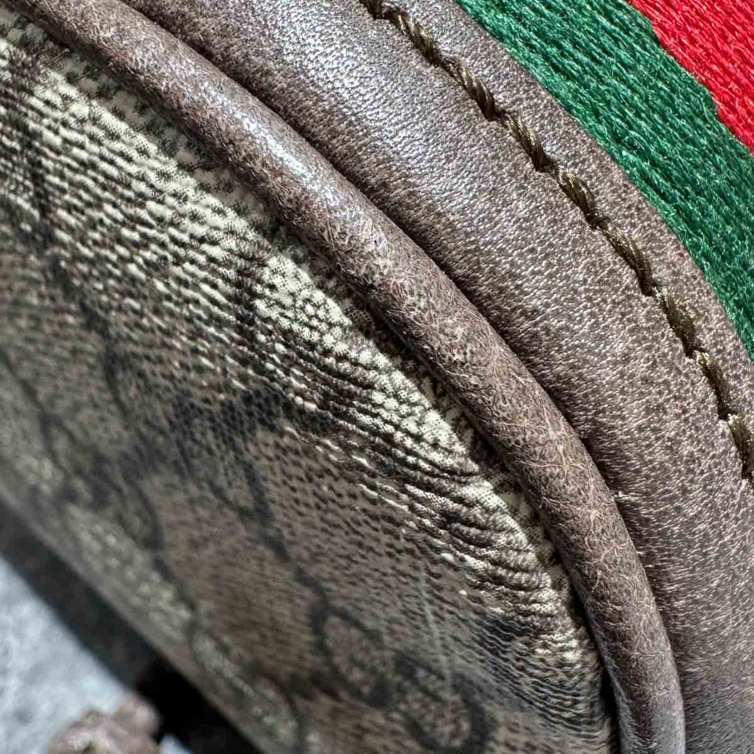 Gucci Ophidia Bucket Bag