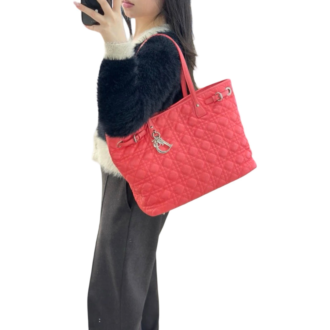 Dior Panarea Pink Tote Bag