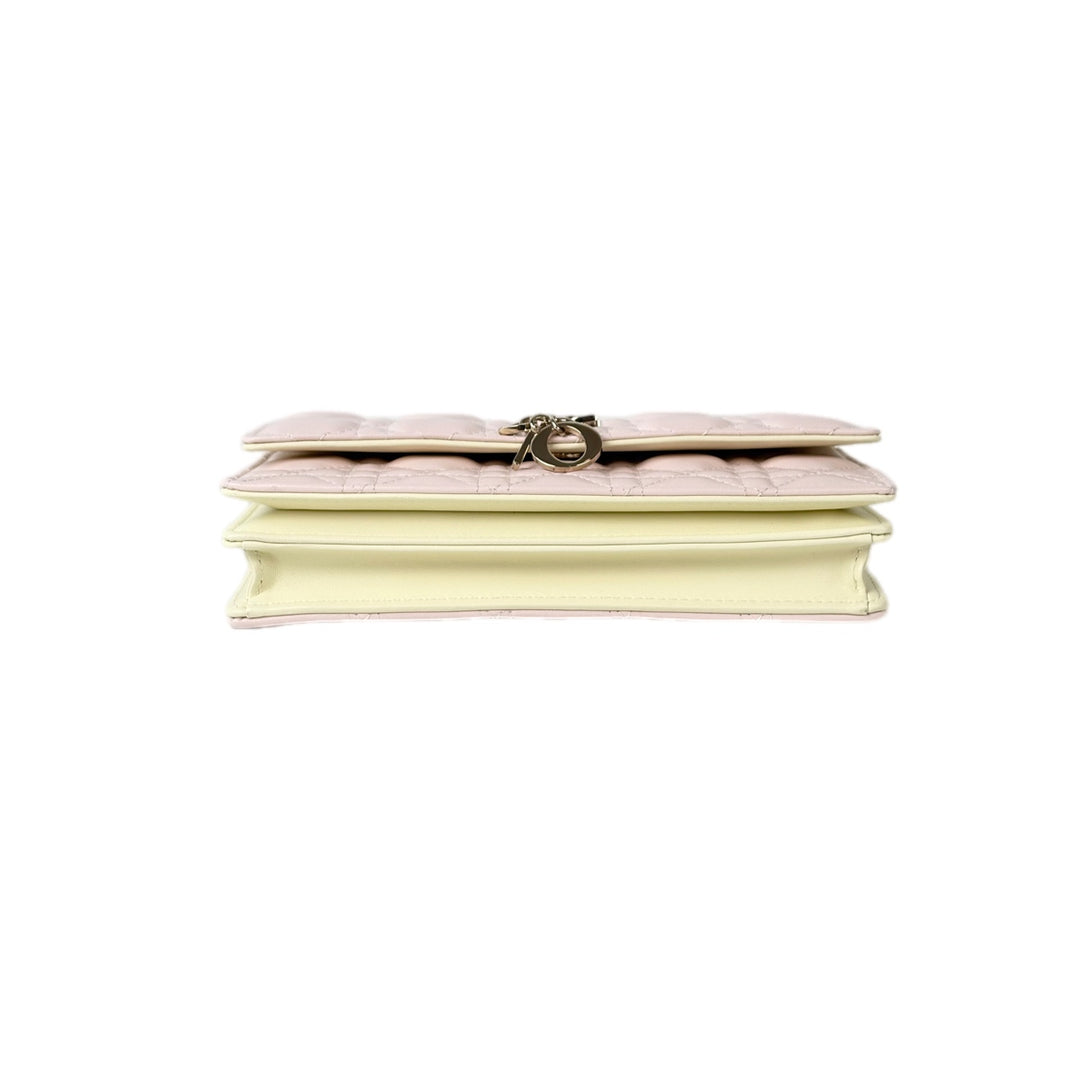 Dior My Dior Pouch Lambskin Multicolour Bag