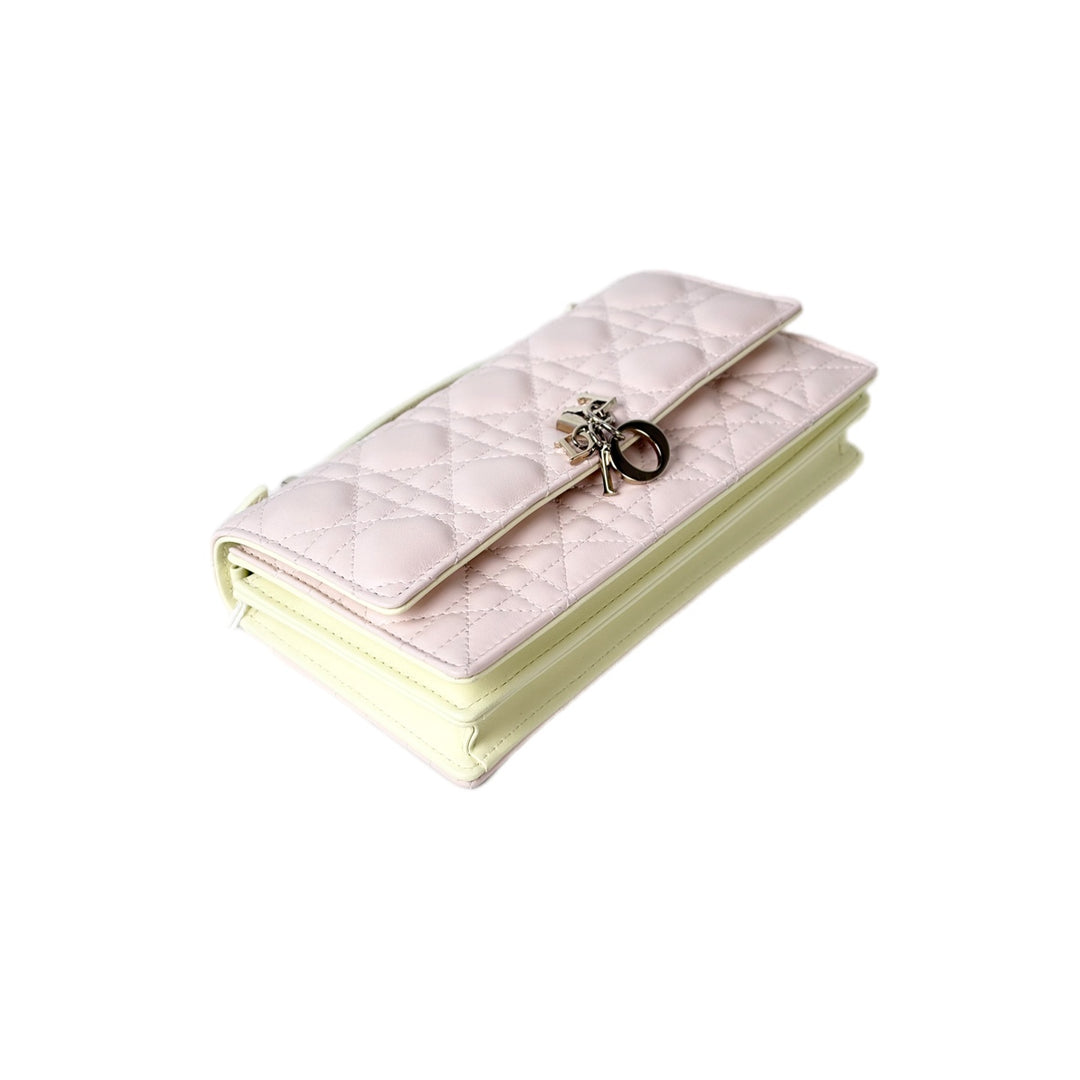 Dior My Dior Pouch Lambskin Multicolour Bag