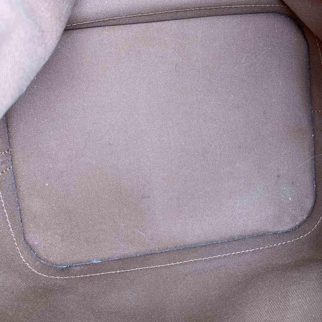 Louis Vuitton Neonoe Monogram Bag