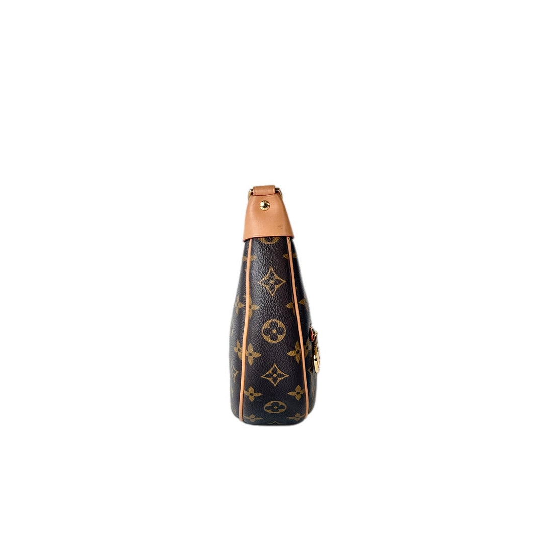Louis Vuitton Loop Monogram Bag