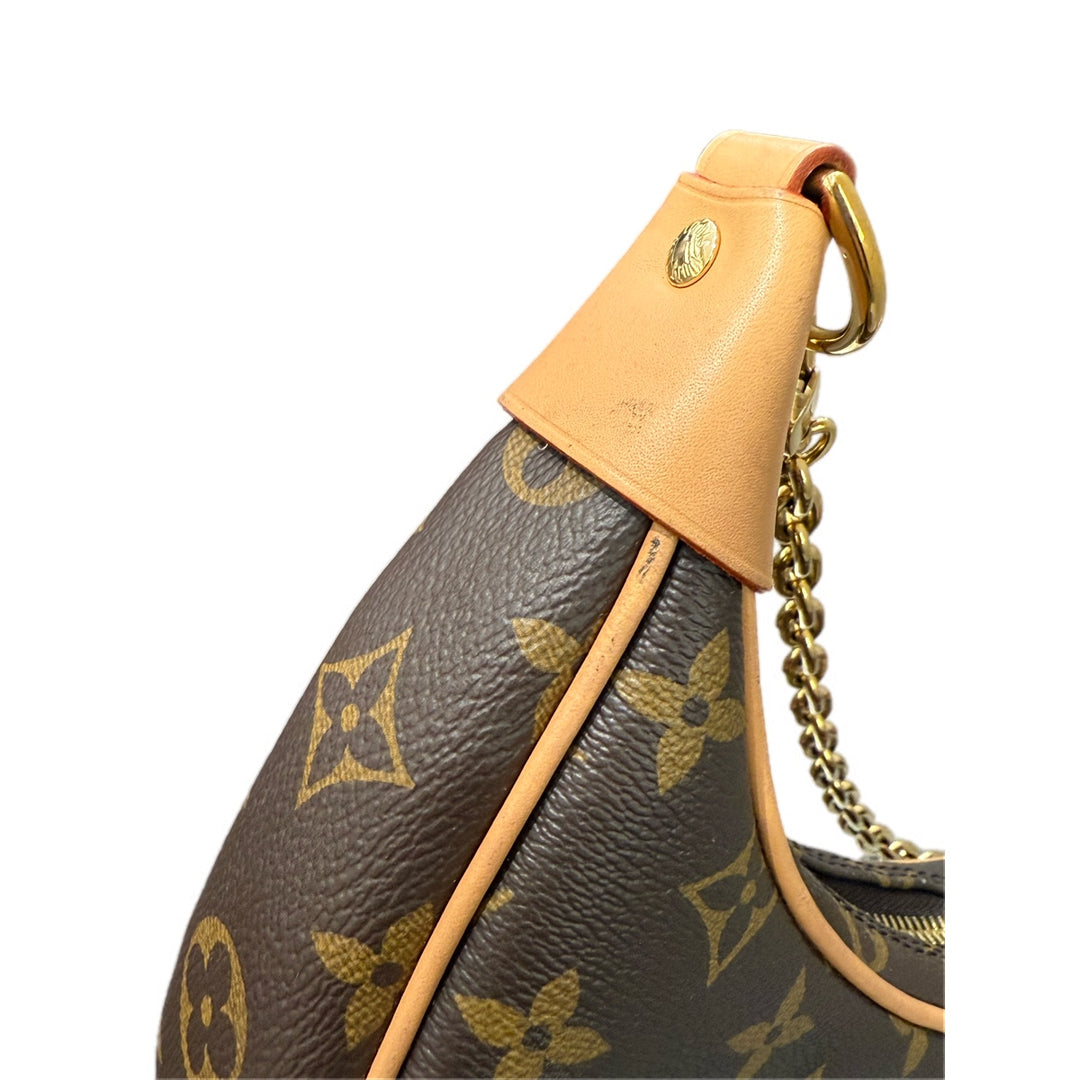 Louis Vuitton Loop Monogram Bag