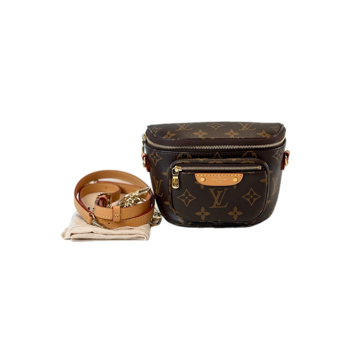 Louis Vuitton Mini Bumbag Monogram
