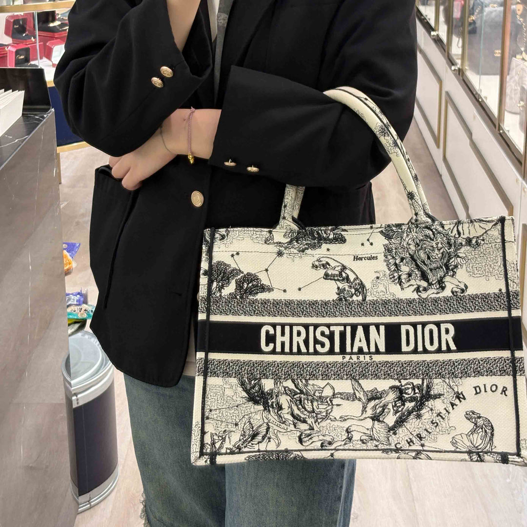 Dior Small Book Tote Zodiac Embroidery Bag