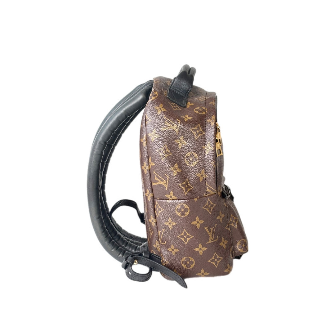 Louis Vuitton Monogram Palm Springs MM Bag