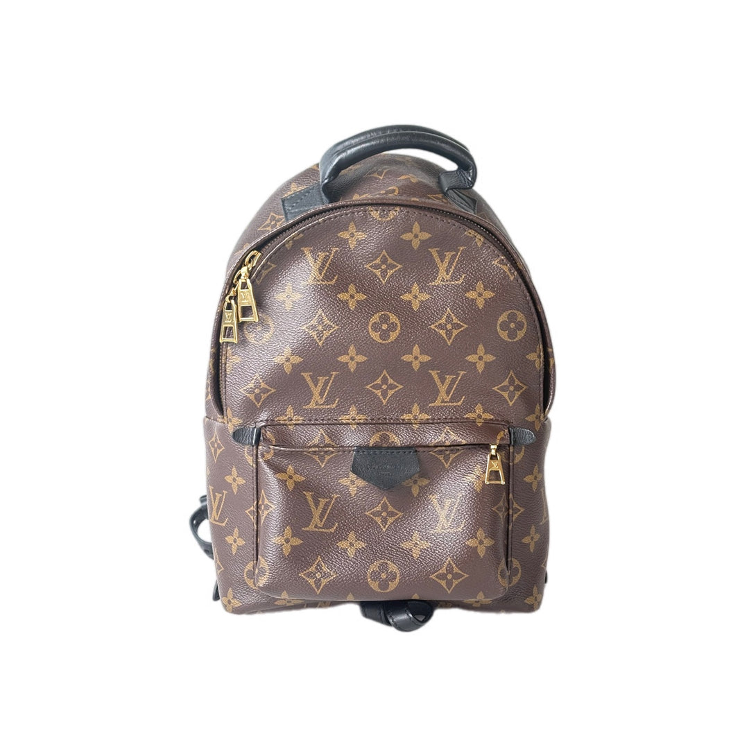 Louis Vuitton Monogram Palm Springs MM Bag