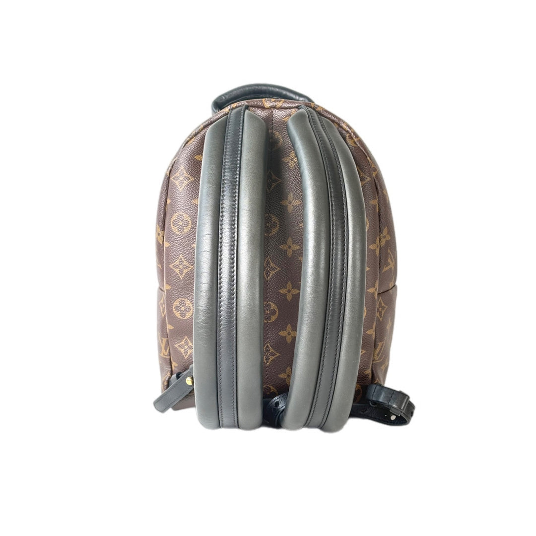 Louis Vuitton Monogram Palm Springs MM Bag