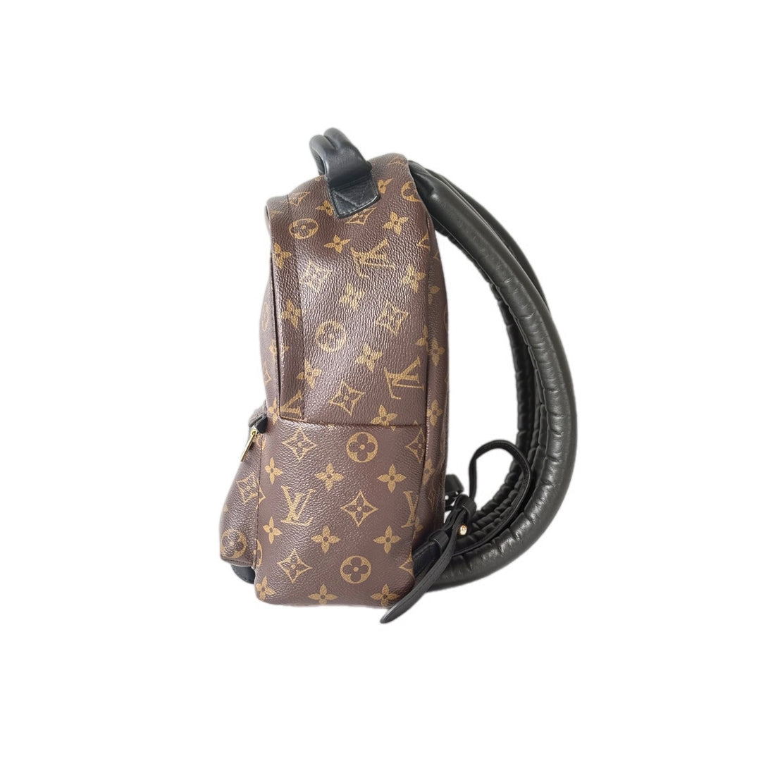 Louis Vuitton Monogram Palm Springs MM Bag
