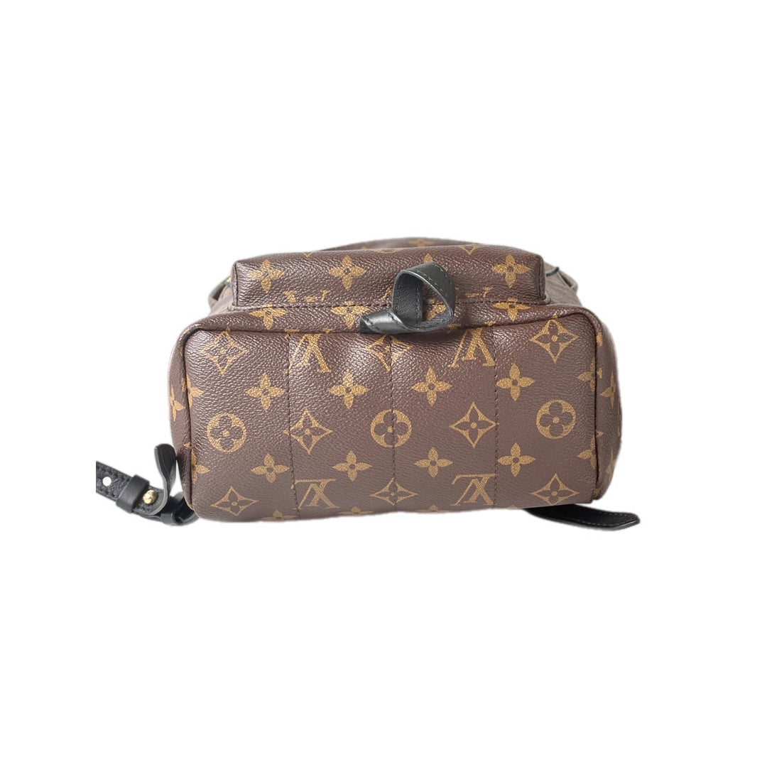 Louis Vuitton Monogram Palm Springs MM Bag