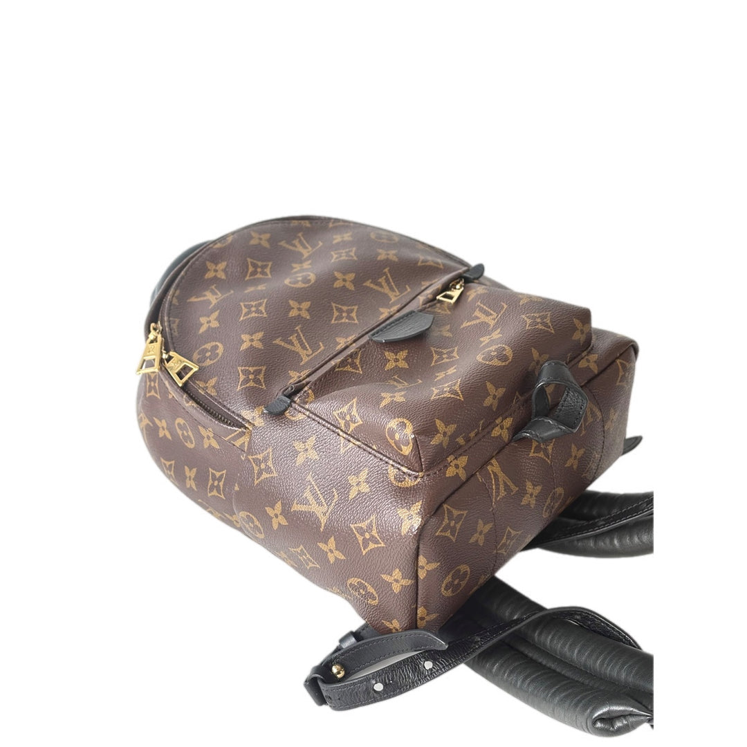 Louis Vuitton Monogram Palm Springs MM Bag