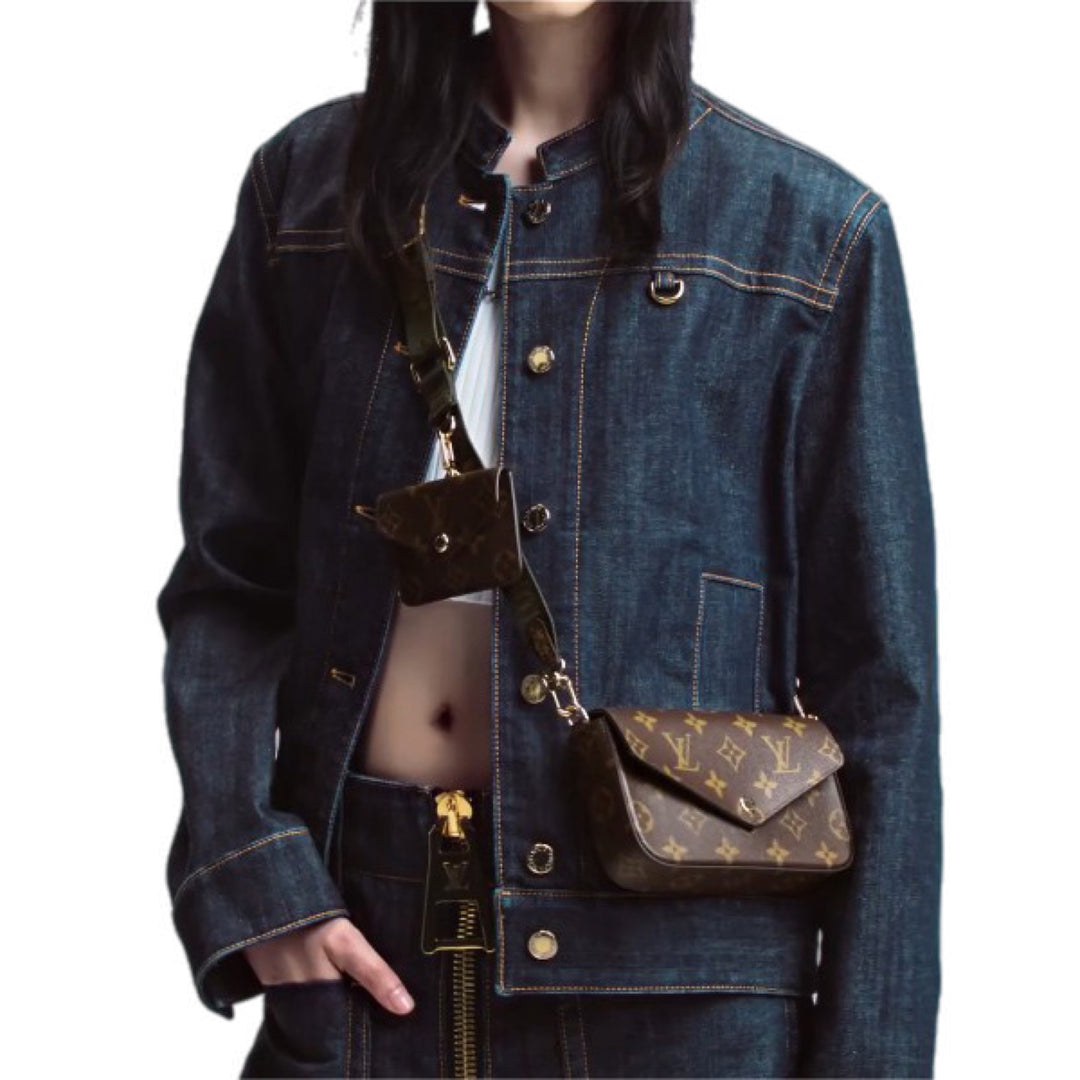 Louis Vuitton Félicie Monogram To Go Bag