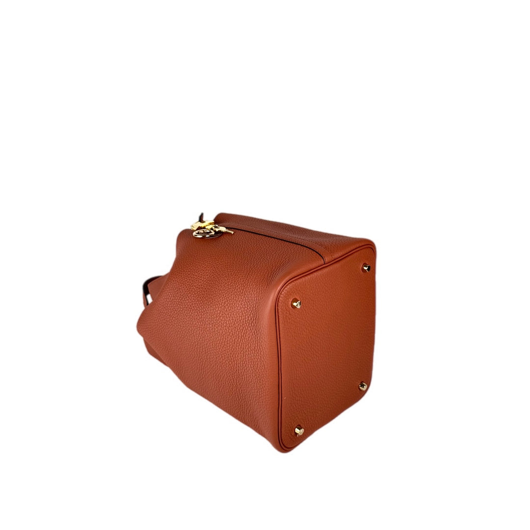 Hermes Picotin 22cm Bag TC