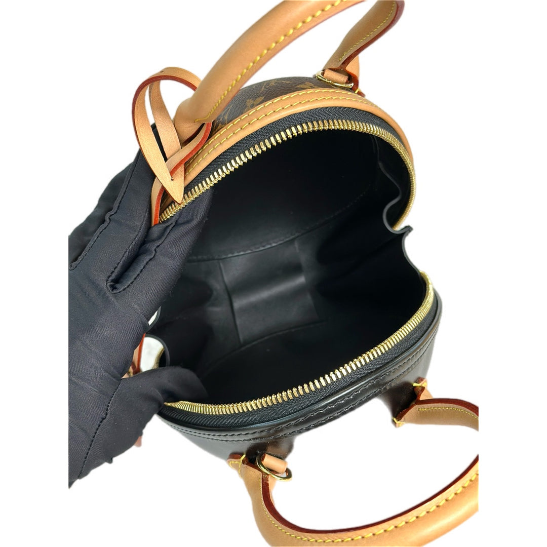 Louis Vuitton Monogram Canvas/Black Egg Bag