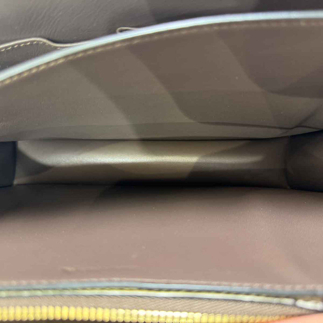 Celine Classic Box Med Lizard FCE2140