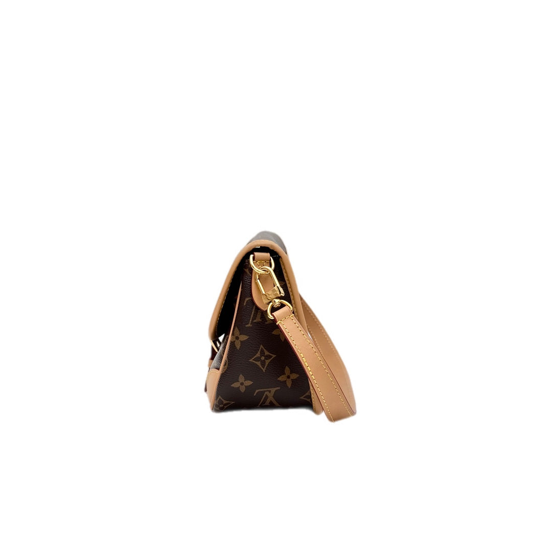 Louis Vuitton Diane Monogram Bag