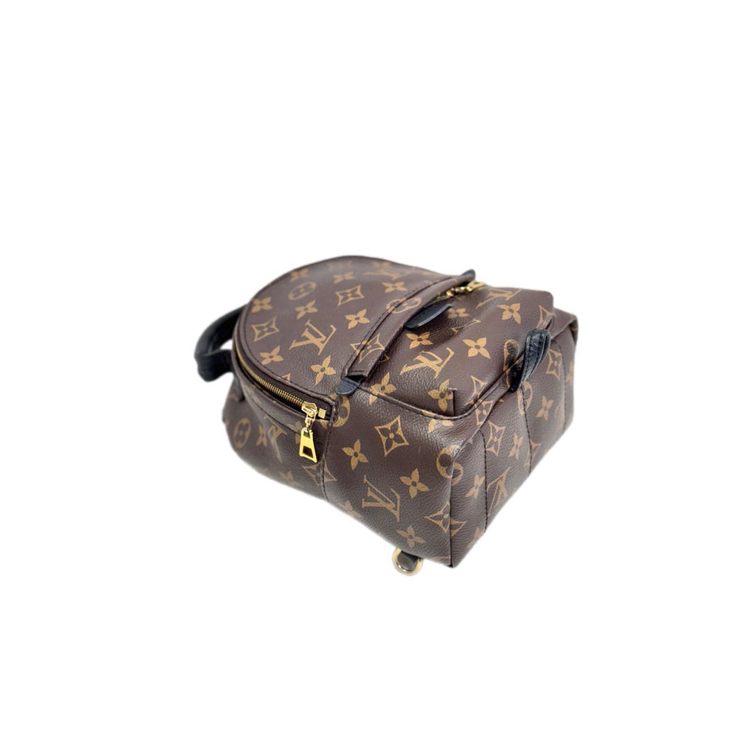 Louis Vuitton Palm Springs  Mini 17cm Monogram
