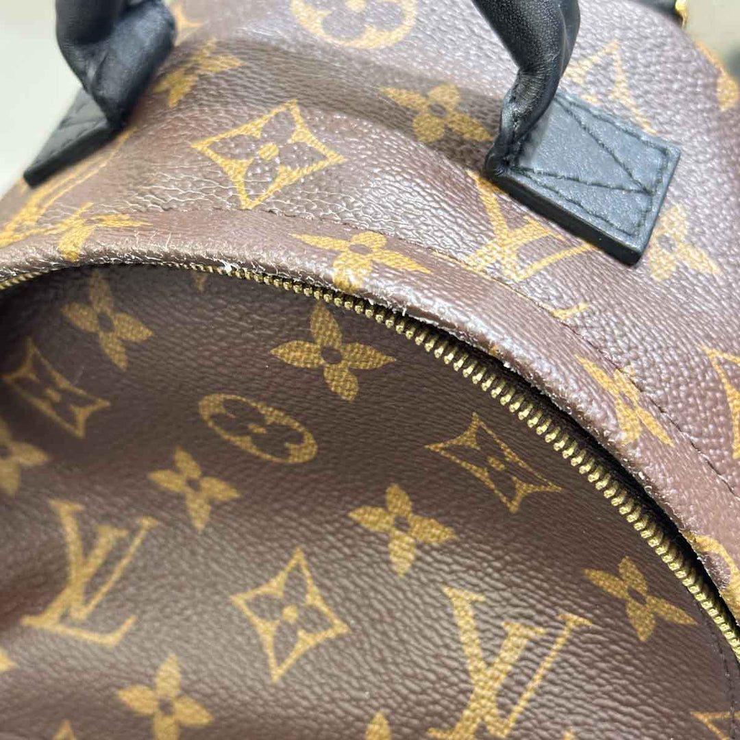 Louis Vuitton Palm Springs  Mini 17cm Monogram