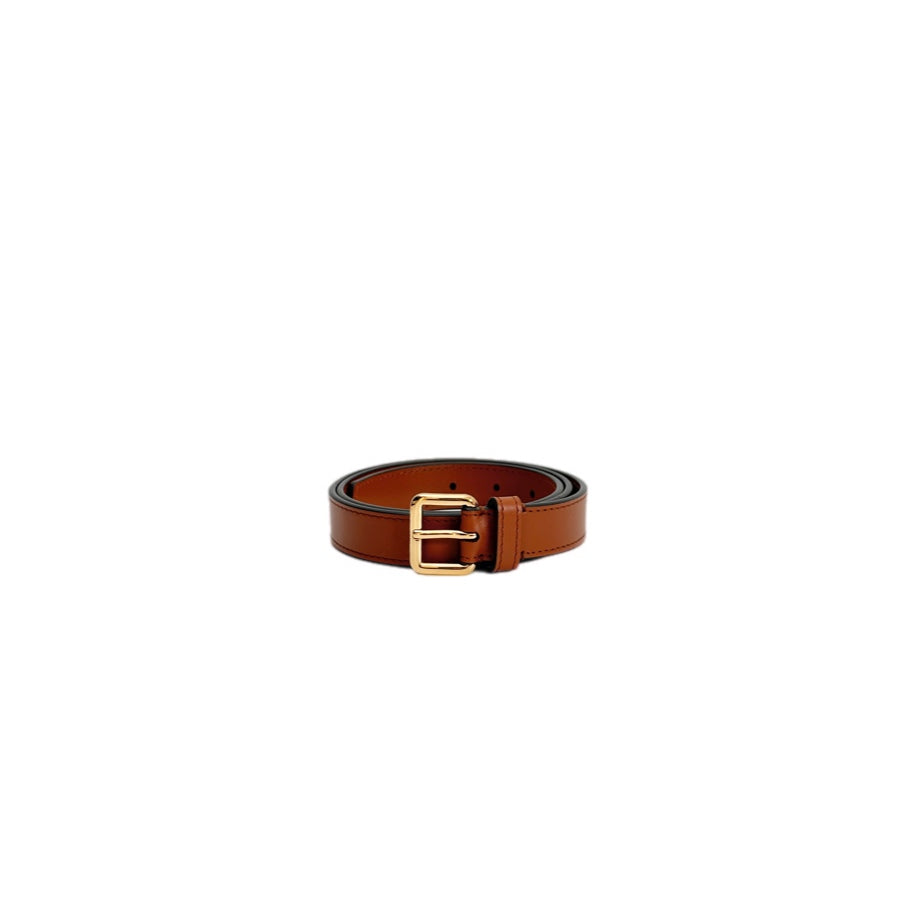 Louis Vuitton Dauphine Micro Belt Bag