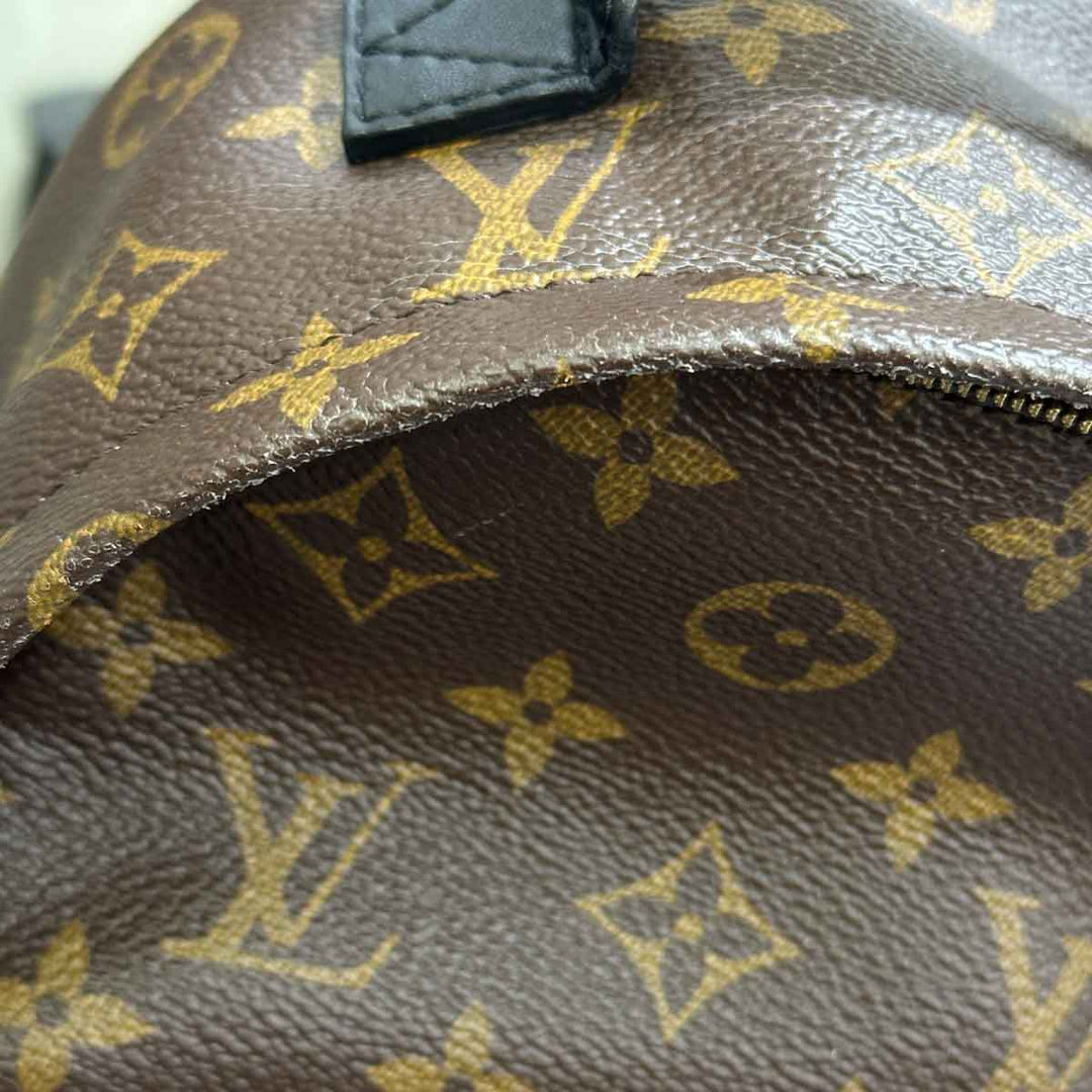 Louis Vuitton Palm Springs  Mini 17cm Monogram