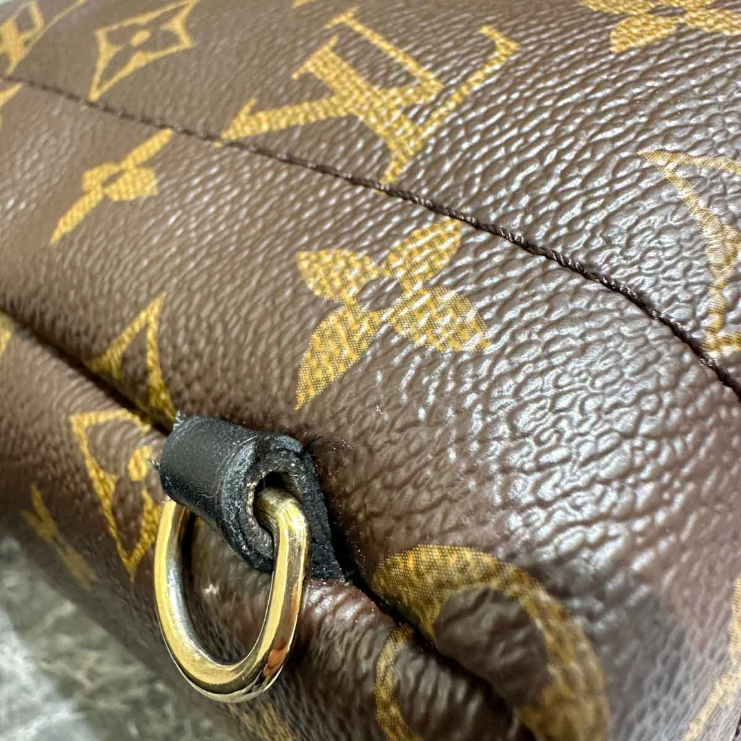 Louis Vuitton Palm Springs  Mini 17cm Monogram