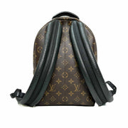 Louis Vuitton Small Palm Spring Backpack - Jiaxyk