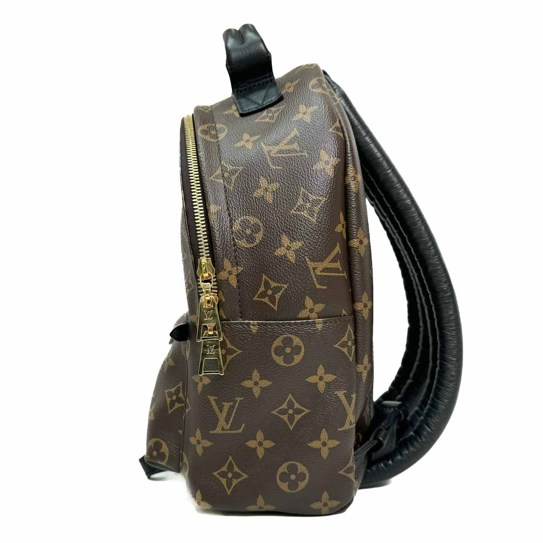 Louis Vuitton Small Palm Spring Backpack