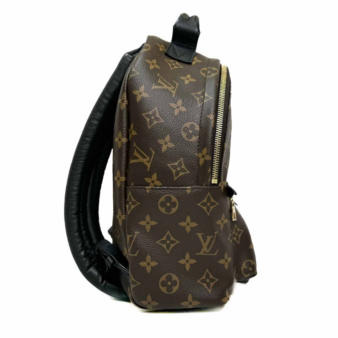 Louis Vuitton Small Palm Spring Backpack