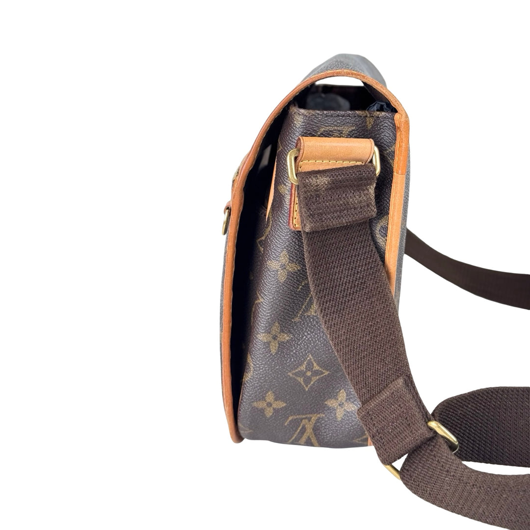 Louis Vuitton Messenger Monogram Front Zip Bag