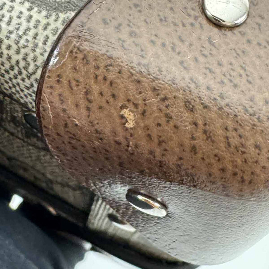 Gucci Bamboo Trotter GG Beauty Case Bag