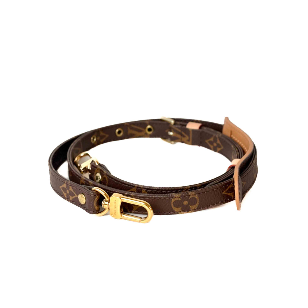 Louis Vuitton Bag Strap