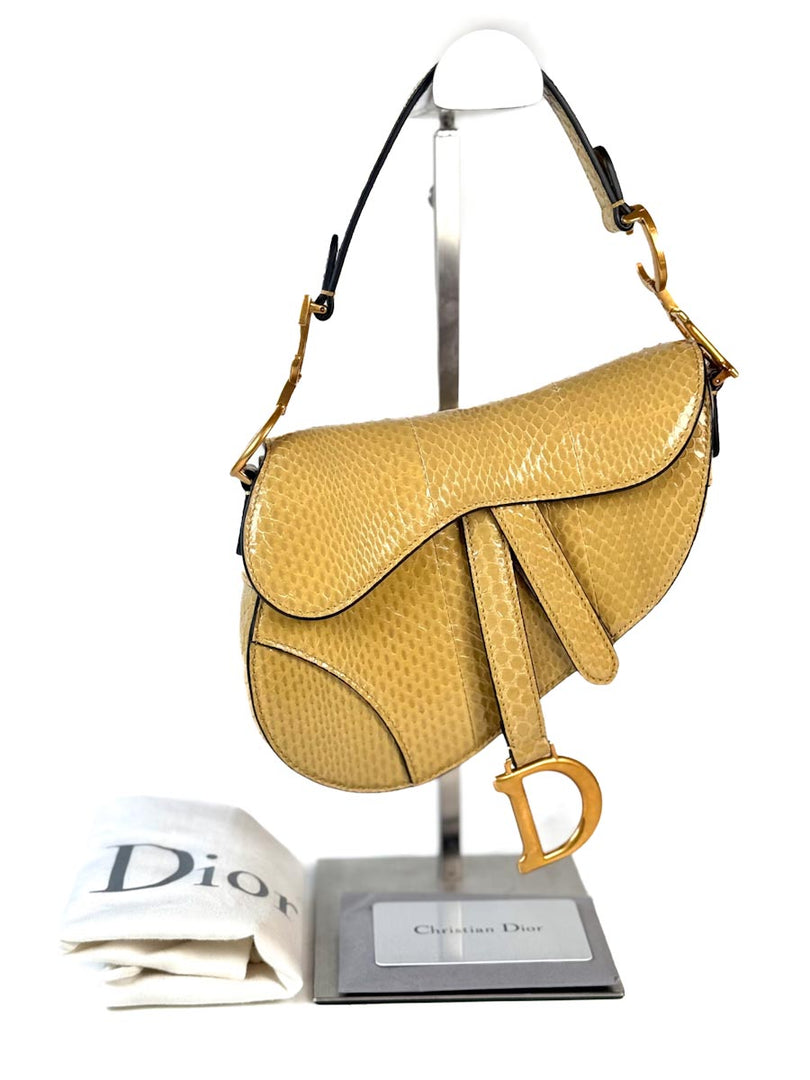 Dior Saddle Mini Python Bag