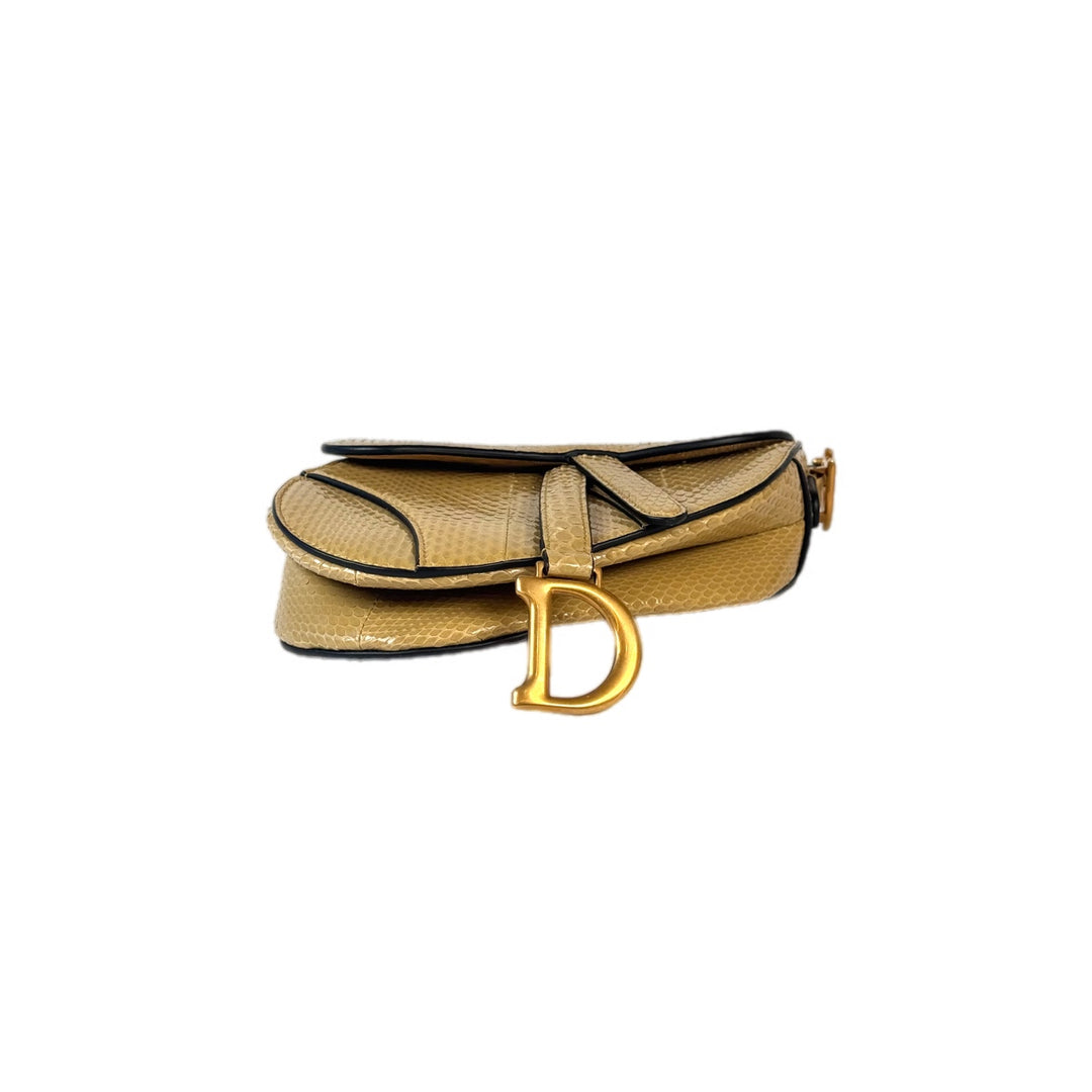 Dior Saddle Mini Python Bag