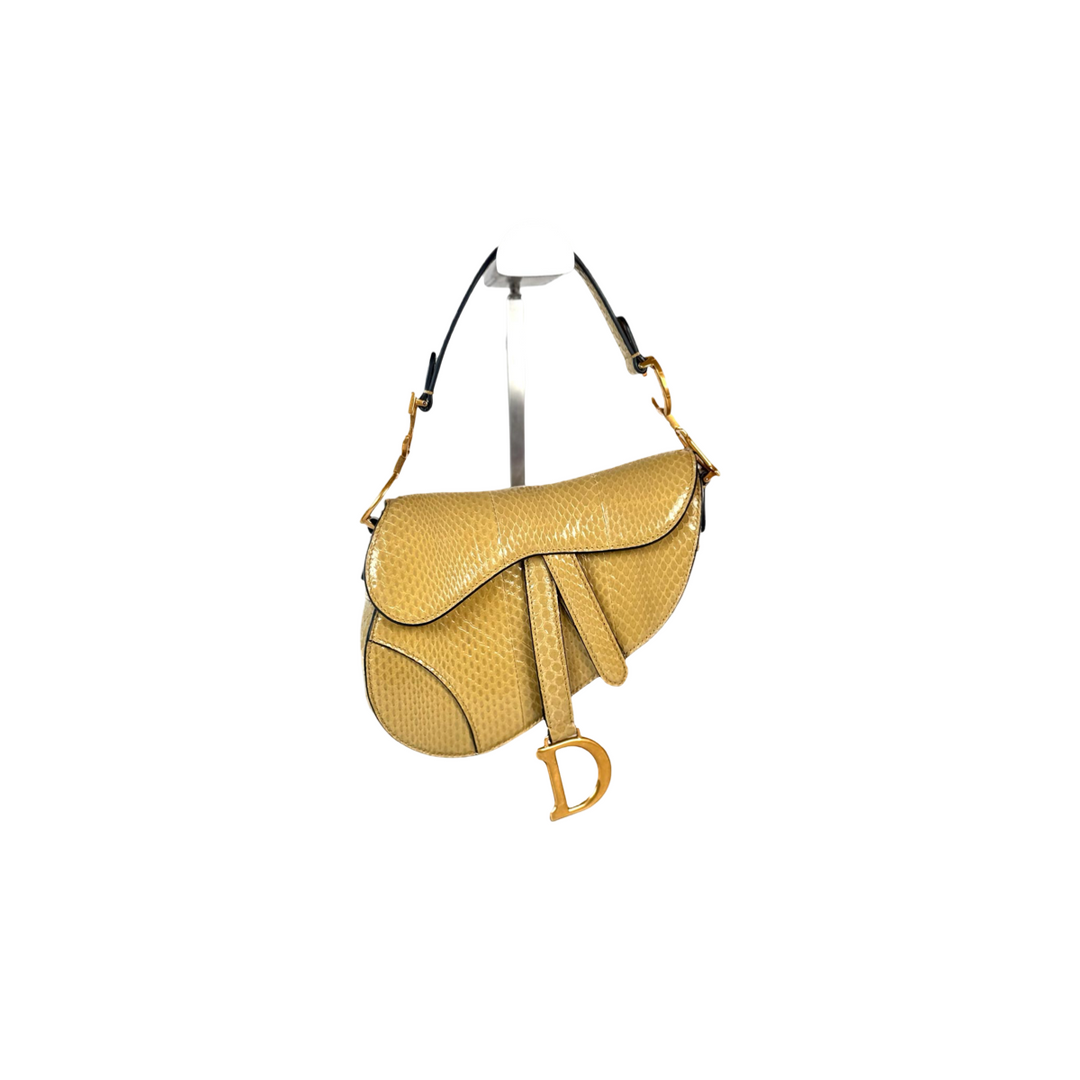 Dior Saddle Mini Python Bag