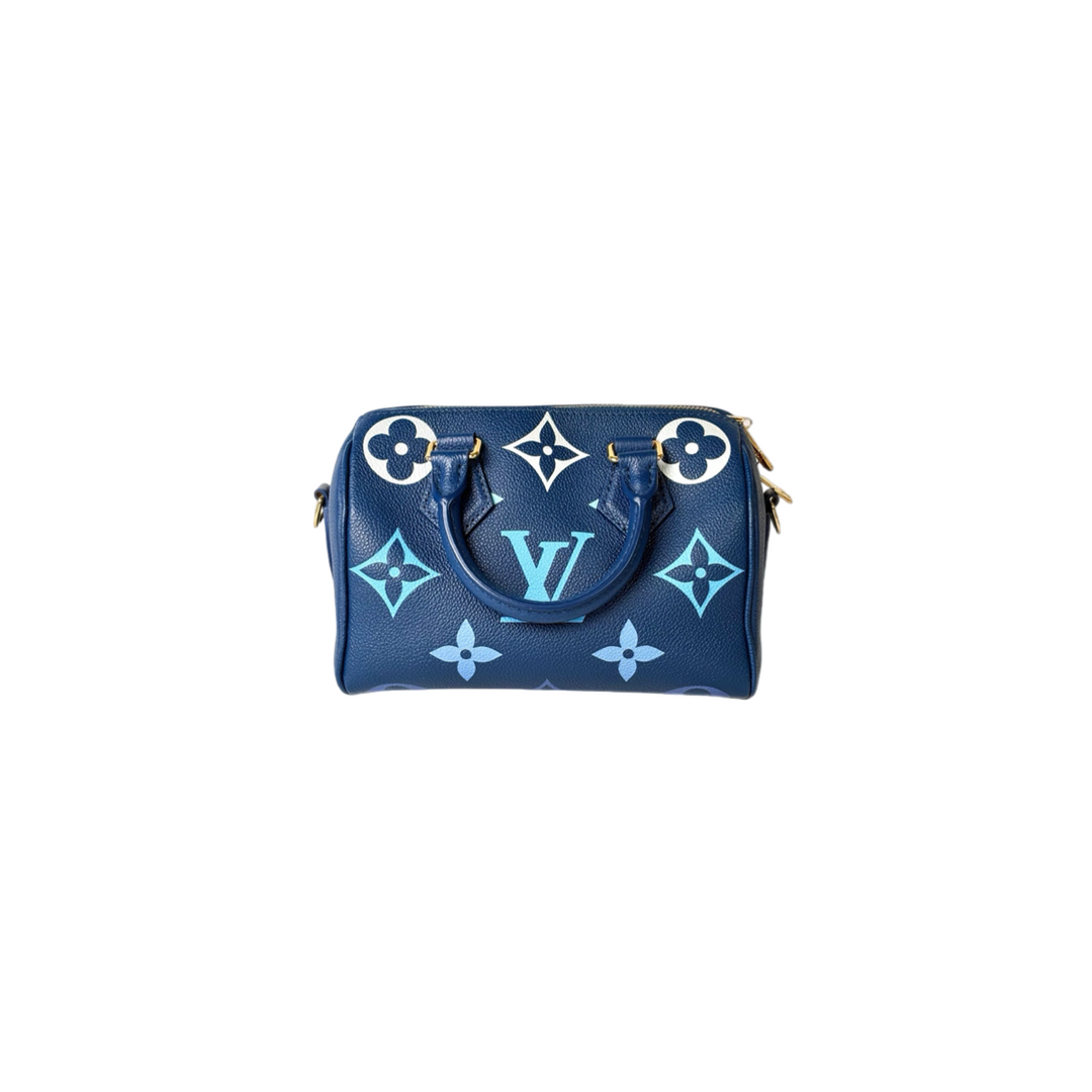 Louis Vuitton Speedy 20cm Blue Bag