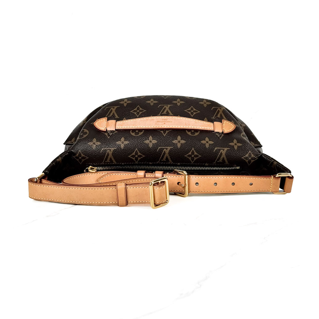 Louis Vuitton Bumbag Monogram