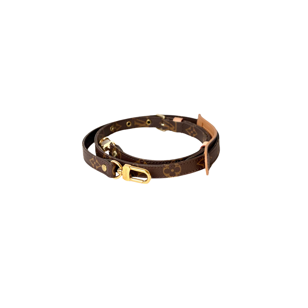 Louis Vuitton Bag Strap