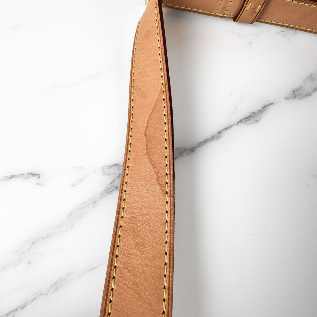 Louis Vuitton Bumbag Monogram