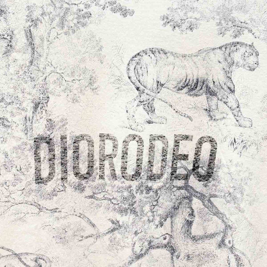 Dior Off White Diorodeo T Shirt #XS