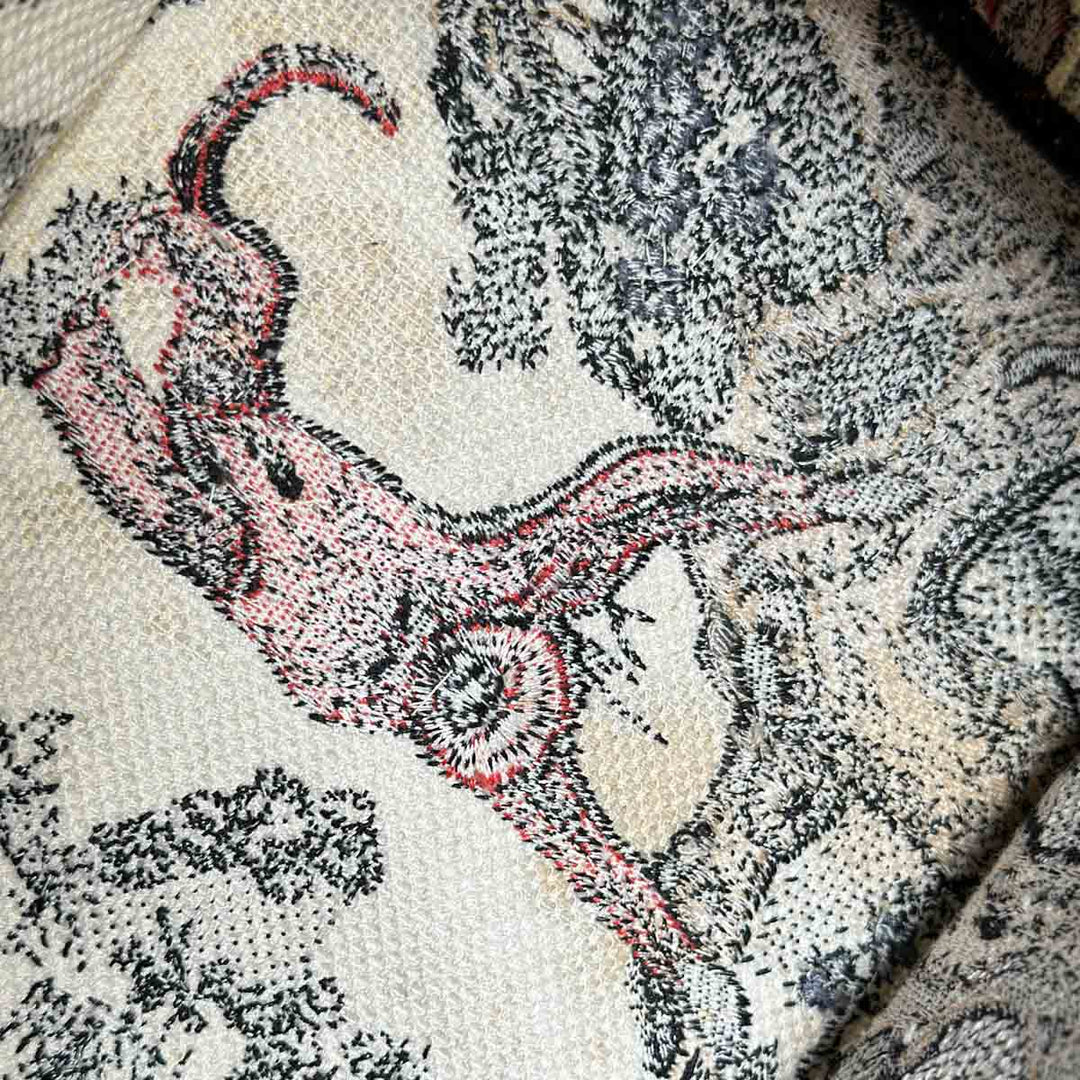 Dior Book Tote Gm Tolie De Jouy