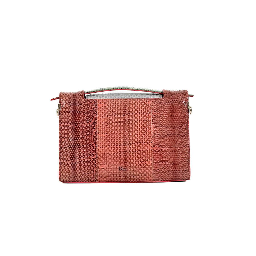 Dior Multicolor Watersnake Leather Diorever Bag
