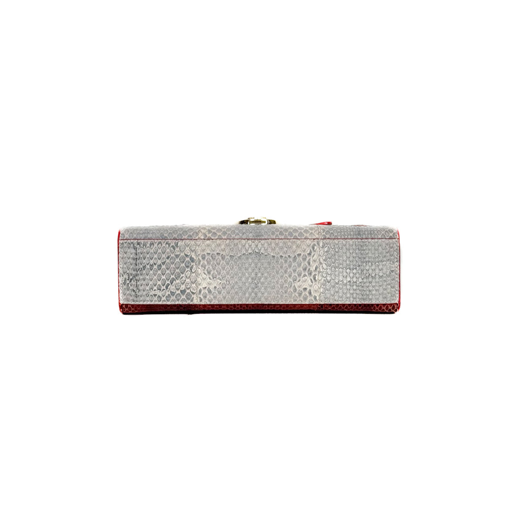 Dior Multicolor Watersnake Leather Diorever Bag