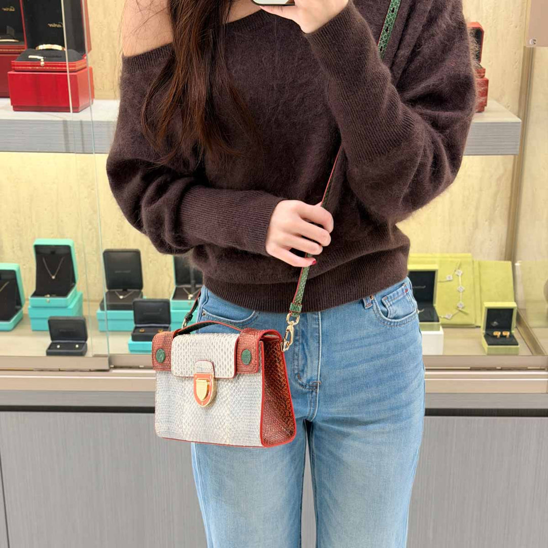 Dior Multicolor Watersnake Leather Diorever Bag