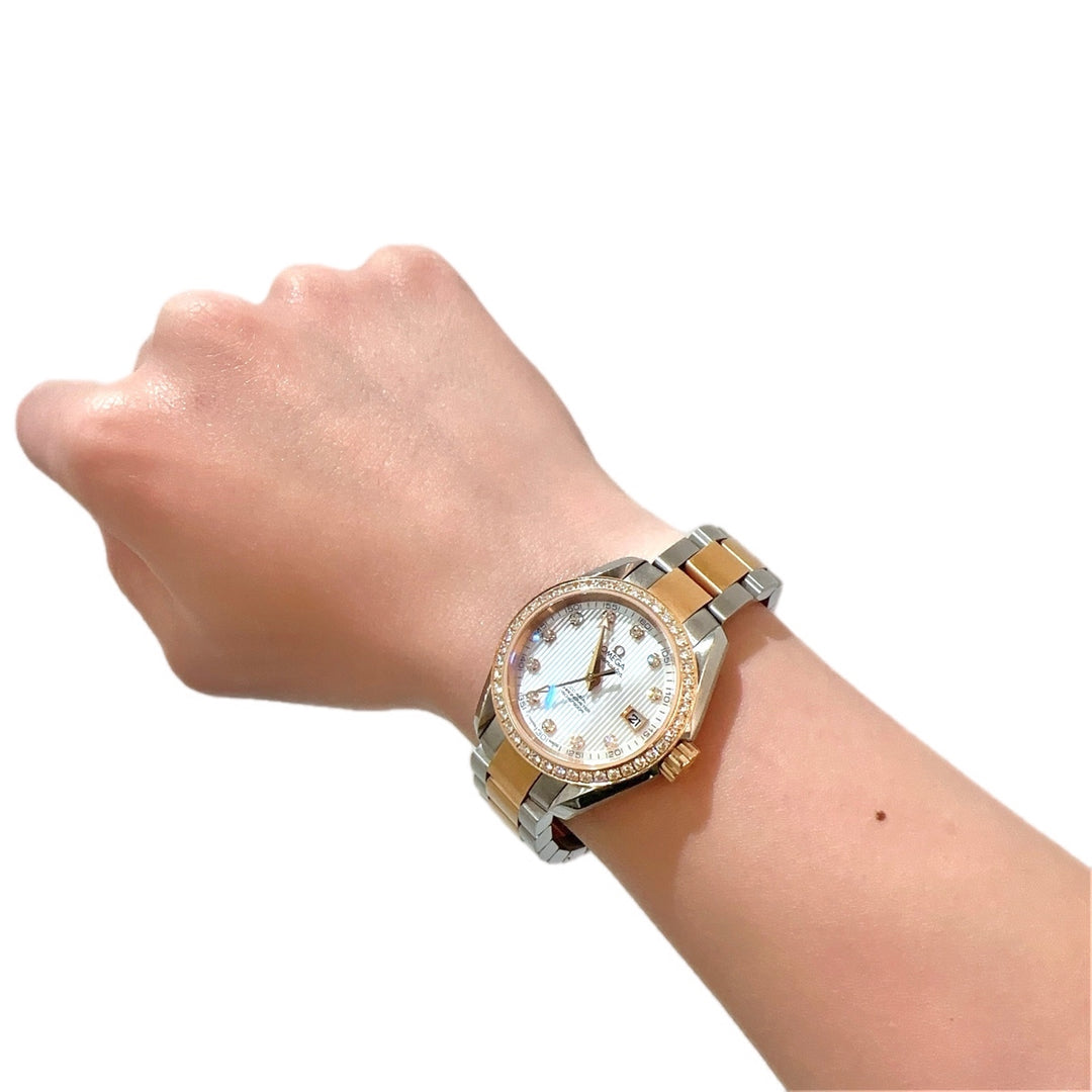 Omega Seamaster Gold/Steel Diamond Auto Watch