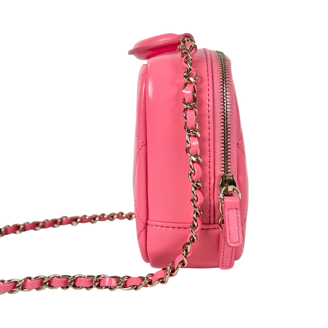 Chanel Pink Top Handle Camera Bag