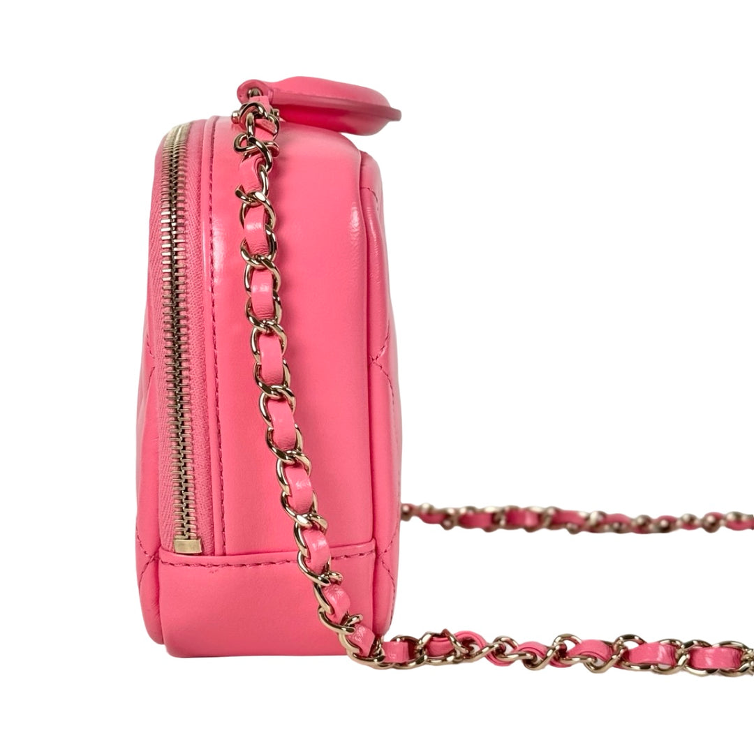 Chanel Pink Top Handle Camera Bag