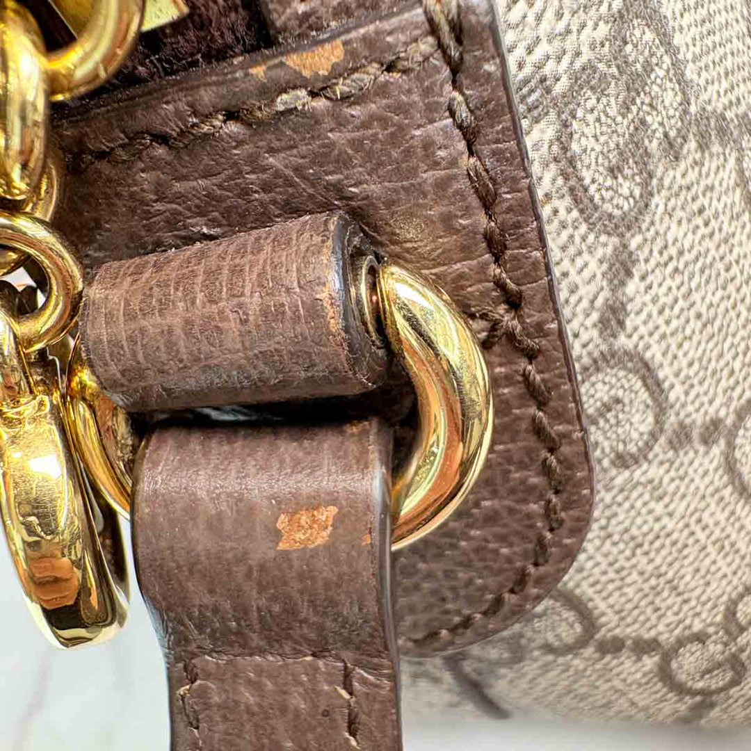 Gucci Ophidia Crossbody Bag
