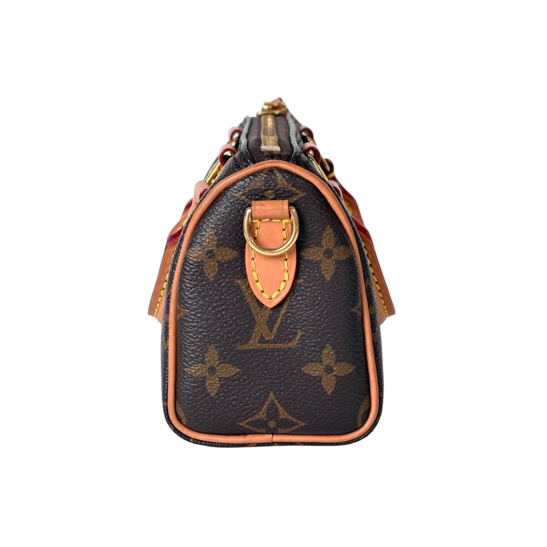 Louis Vuitton Speedy Nano Bag