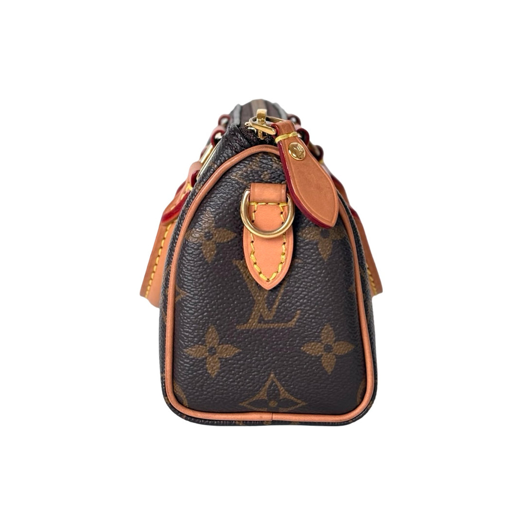 Louis Vuitton Speedy Nano Bag