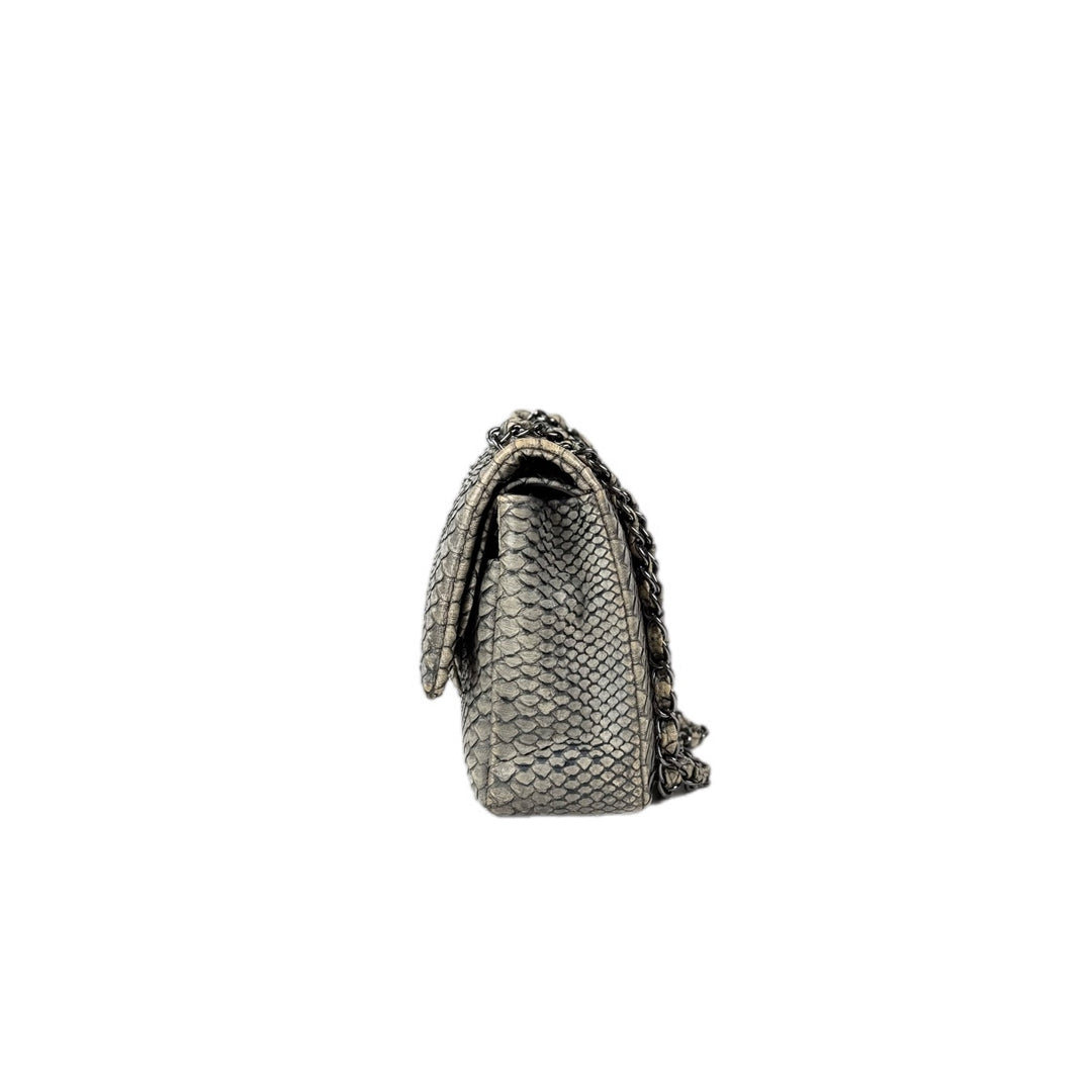 Chanel Classic Flap Bag Medium Python
